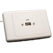 016.006.0006 USB Wall Plate