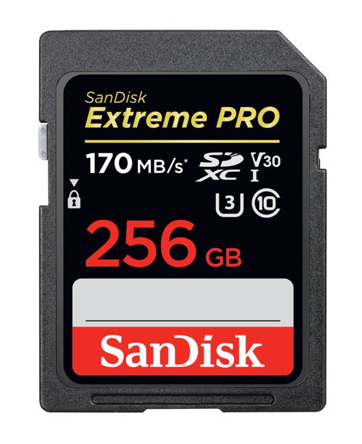 [619659170356] SanDisk 256GB Extreme PRO Memory Card 170MB/s Full HD  4K UHD Class 30 Speed Shock Proof Temperature Proof Water Proof (LS> SDSDXXD-256G-GN4IN) (LS)