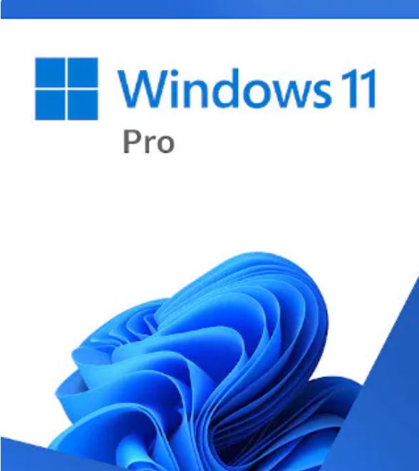 [889842966176] 889842966176 Microsoft Windows 11 Professional Retail 64-bit USB Flash Drive