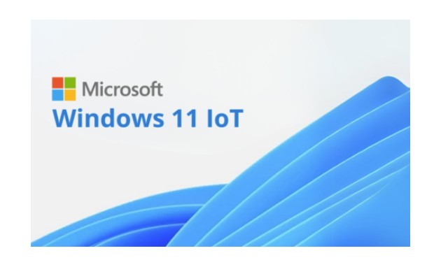 [FZP-00024] FZP-00024 Microsoft Windows 11 IOT Multi Language