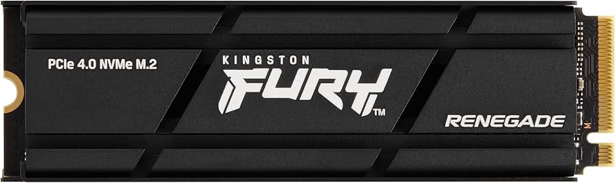 1000G RENEGADE PCIe 4.0 NVMe SSD W/ HEATSINK