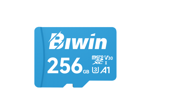 BIW-MS100-256G BIWIN MS100-256G microSD3.0 Read & Write Speed up to 100MB/s & 50MB/s BMMS100256G-RGX
