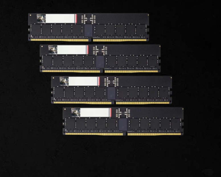 MEGS-F5-3036-4X16G-G5N G.SKILL F5-6000R3036G16GQ4-G5N 64GB (4 x 16GB)/ DDR5 6000 MT/s/ Timings 30-36-36-96/ Voltage 1.4V/ EXPO
