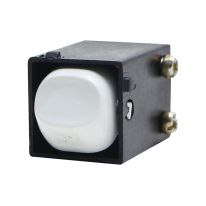 [040.000.0256] Switch Mechanism Double Pole 250V 35A