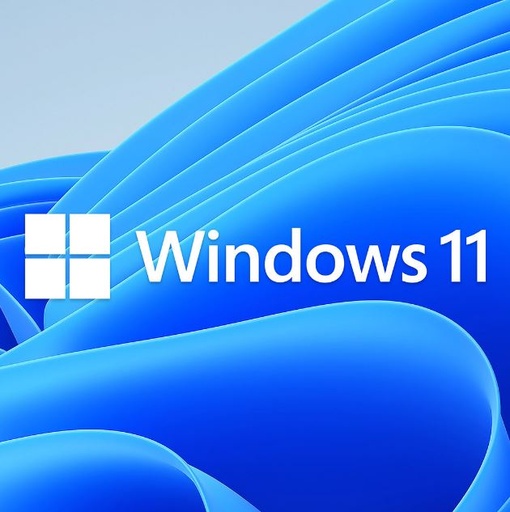 [889842905267] Microsoft Windows 11 Home OEM 64-bit English 1 Pack DVD. Key only NEW